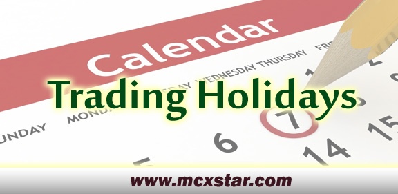 Mcx Holidays 2022